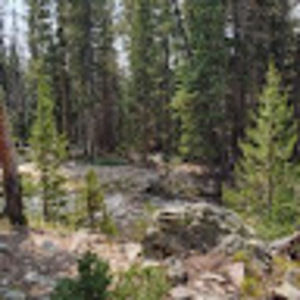 Meet your Posher, Mandy